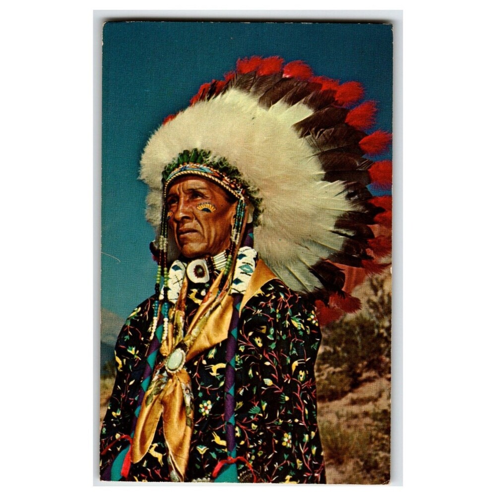 Vintage Native American Man Full Regalia Headdress Plastichrome Postcard